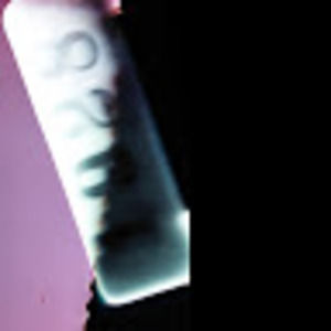 Meet your Posher, Lizzy